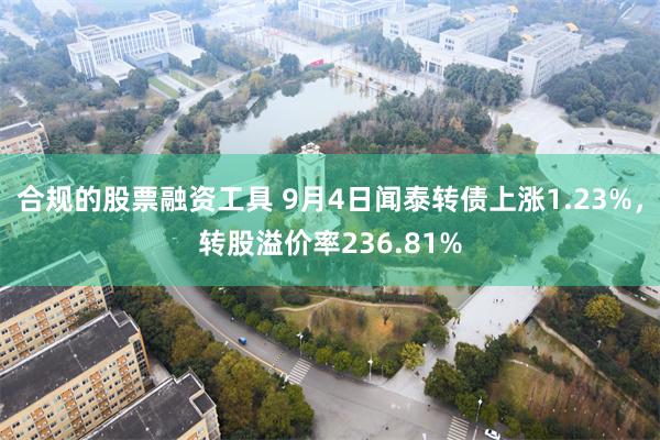 合规的股票融资工具 9月4日闻泰转债上涨1.23%，转股溢价率236.81%