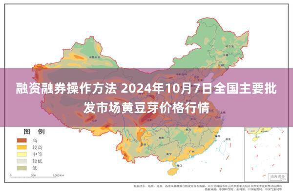 融资融券操作方法 2024年10月7日全国主要批发市场黄豆芽价格行情