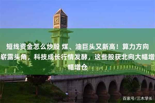 短线资金怎么炒股 煤、油巨头又新高！算力方向也崭露头角，科技成长行情发酵，这些股获北向大幅增仓