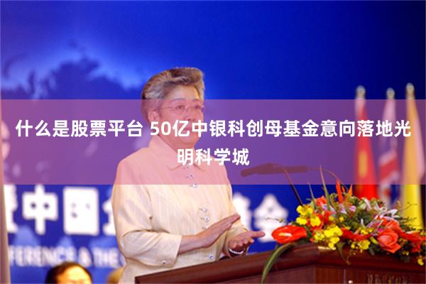 什么是股票平台 50亿中银科创母基金意向落地光明科学城