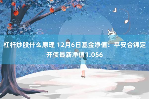 杠杆炒股什么原理 12月6日基金净值：平安合锦定开债最新净值1.056