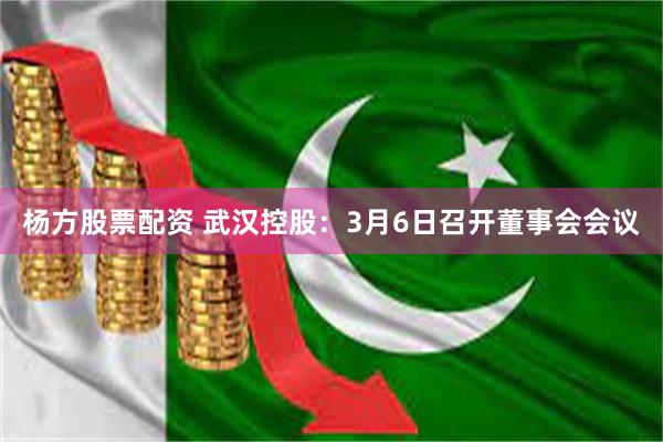 杨方股票配资 武汉控股：3月6日召开董事会会议