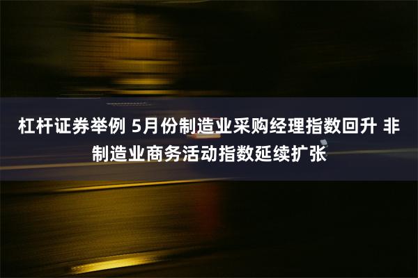 杠杆证券举例 5月份制造业采购经理指数回升 非制造业商务活动指数延续扩张