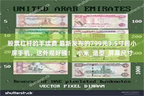 股票杠杆的手续费 最新发布的799元3.5寸超小屏手机，这外观好骚！_小米_造型_屏幕尺寸