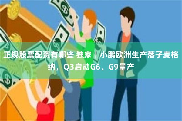 正规股票配资有哪些 独家｜小鹏欧洲生产落子麦格纳，Q3启动G6、G9量产