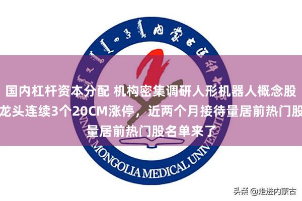 国内杠杆资本分配 机构密集调研人形机器人概念股！机器人龙头连续3个20CM涨停，近两个月接待量居前热门股名单来了